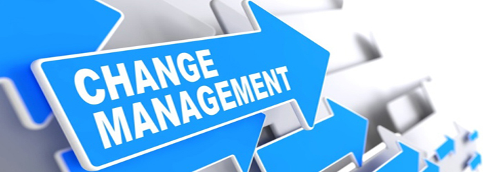 Change Management on Blue Arrow
